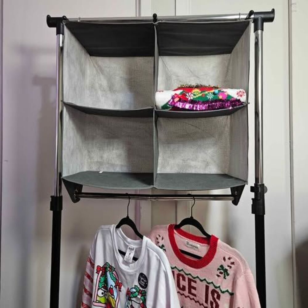 Closet Organizer with Hanging Rod